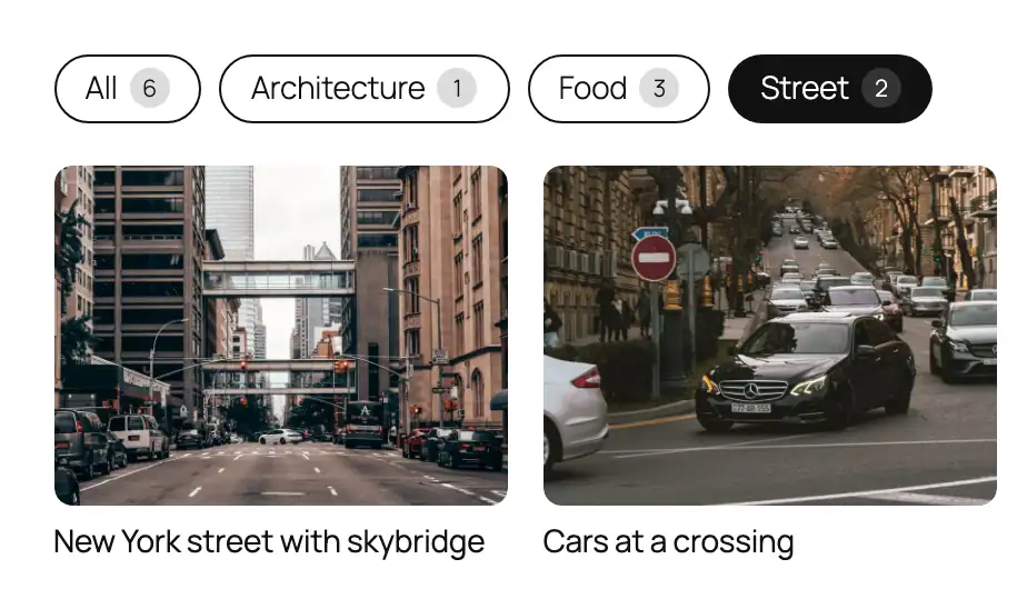 The same filter with Street selected and two street photos showing, opened from a link ending in ?work=street