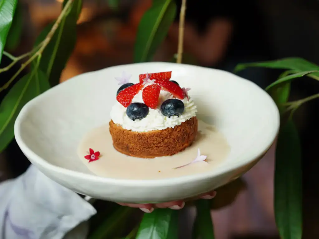 Berry cheesecake