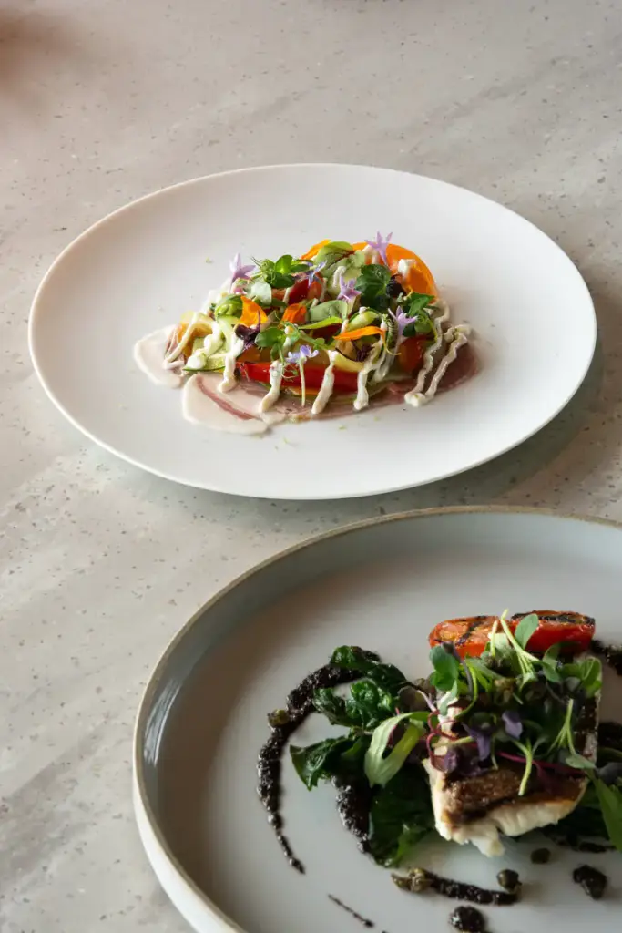 Garden salad