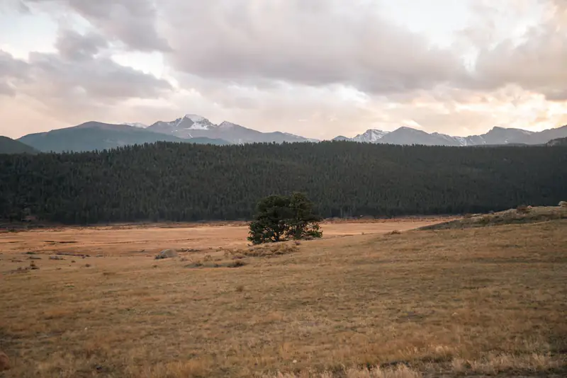 Meadow below the mountains