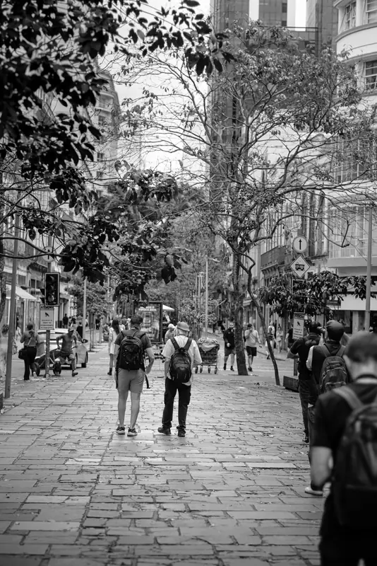 Monochrome tree-lined sidewalk