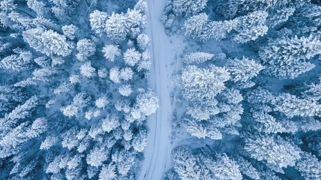 Snowy forest road from above