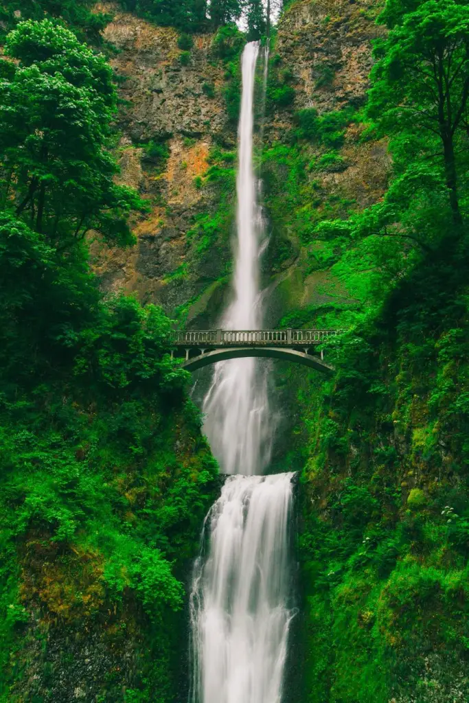 Waterfall and footbridge in the forest