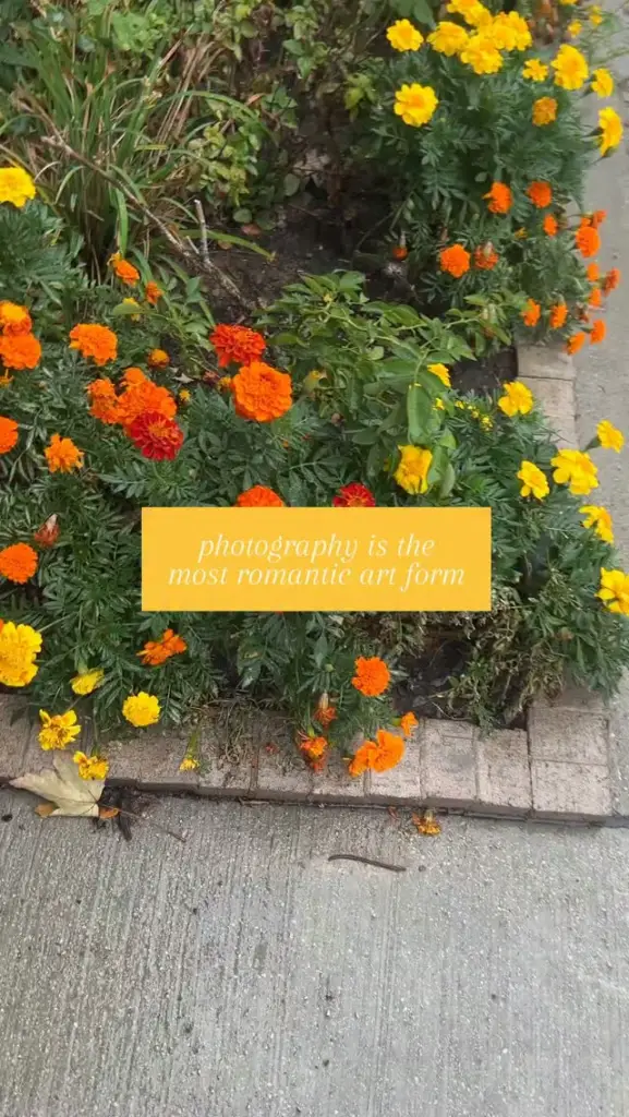 Reel by @pexels